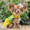 Ladybugs and Daisies Dog Dress with Matching Leash