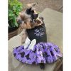 Too Cute To Spook Halloween Dress