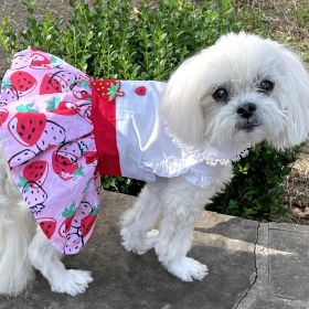 Strawberry Picnic Harness Dress with Matching Leash (size: small)